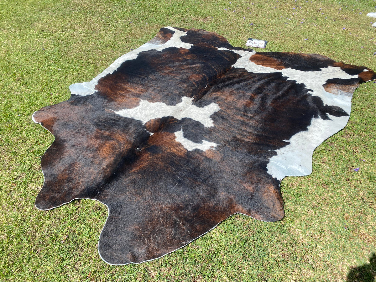 19. Brindle white tri colour Cowhides Australia