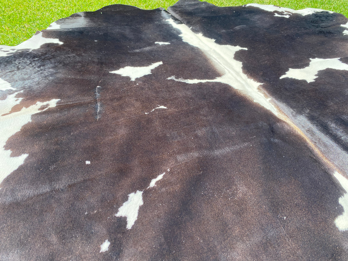 79. Black white Cowhide Cowhides Australia