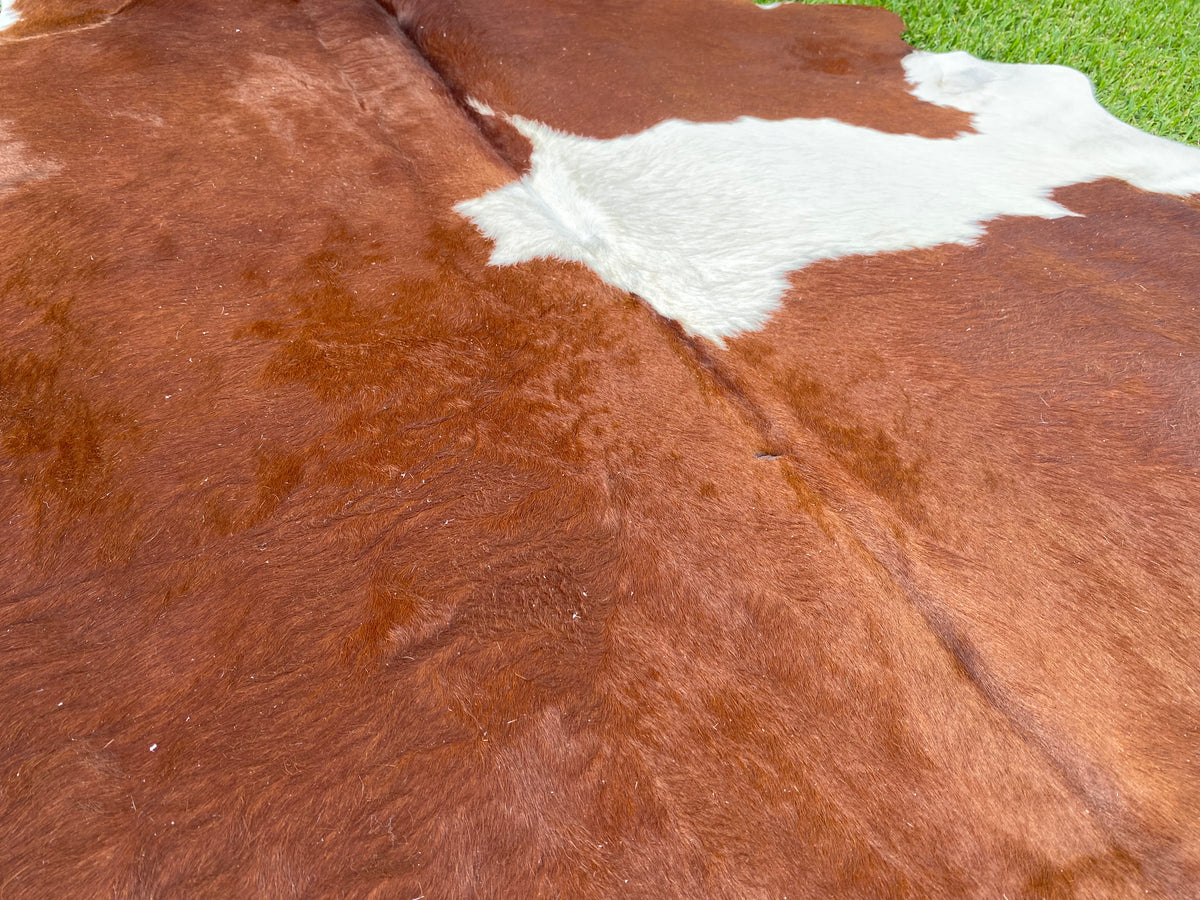 a119. Brown white Cowhide Cowhides Australia