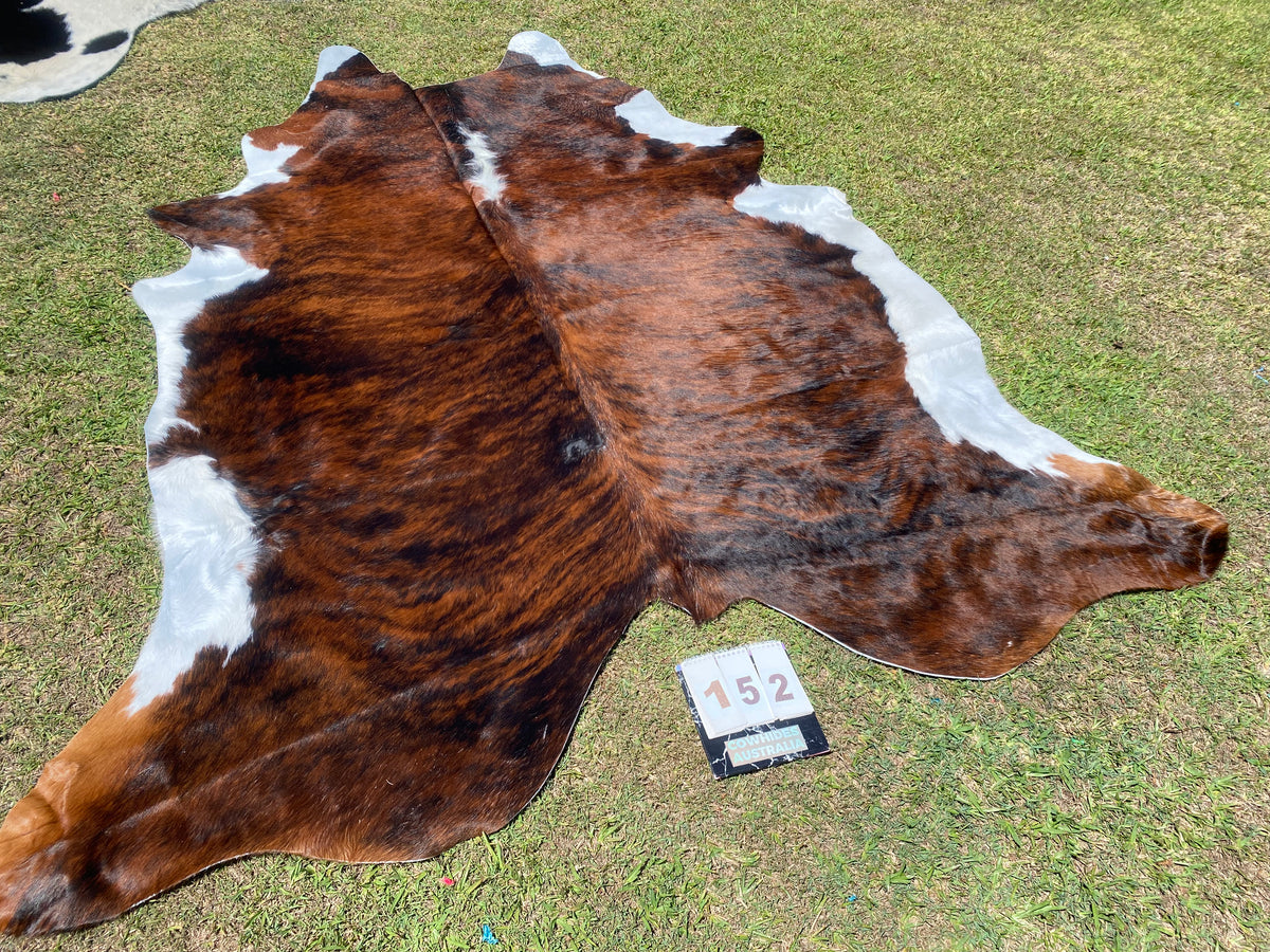 a152. Red brindle white belly Cowhide Cowhides Australia