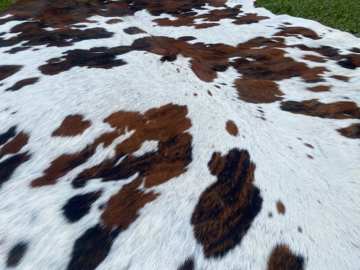 56. Tri colour Cowhide Cowhides Australia