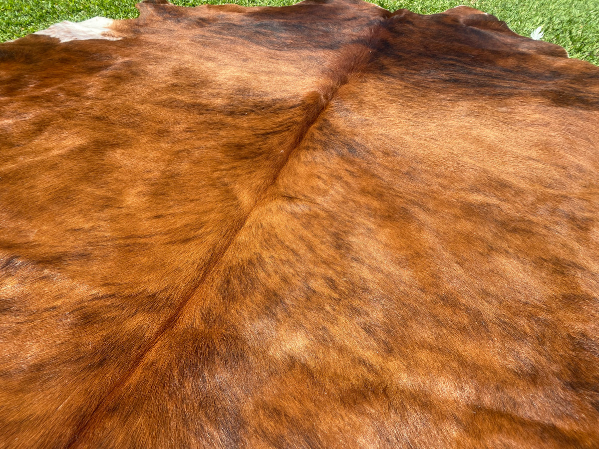 73. Brindle Cowhide Cowhides Australia