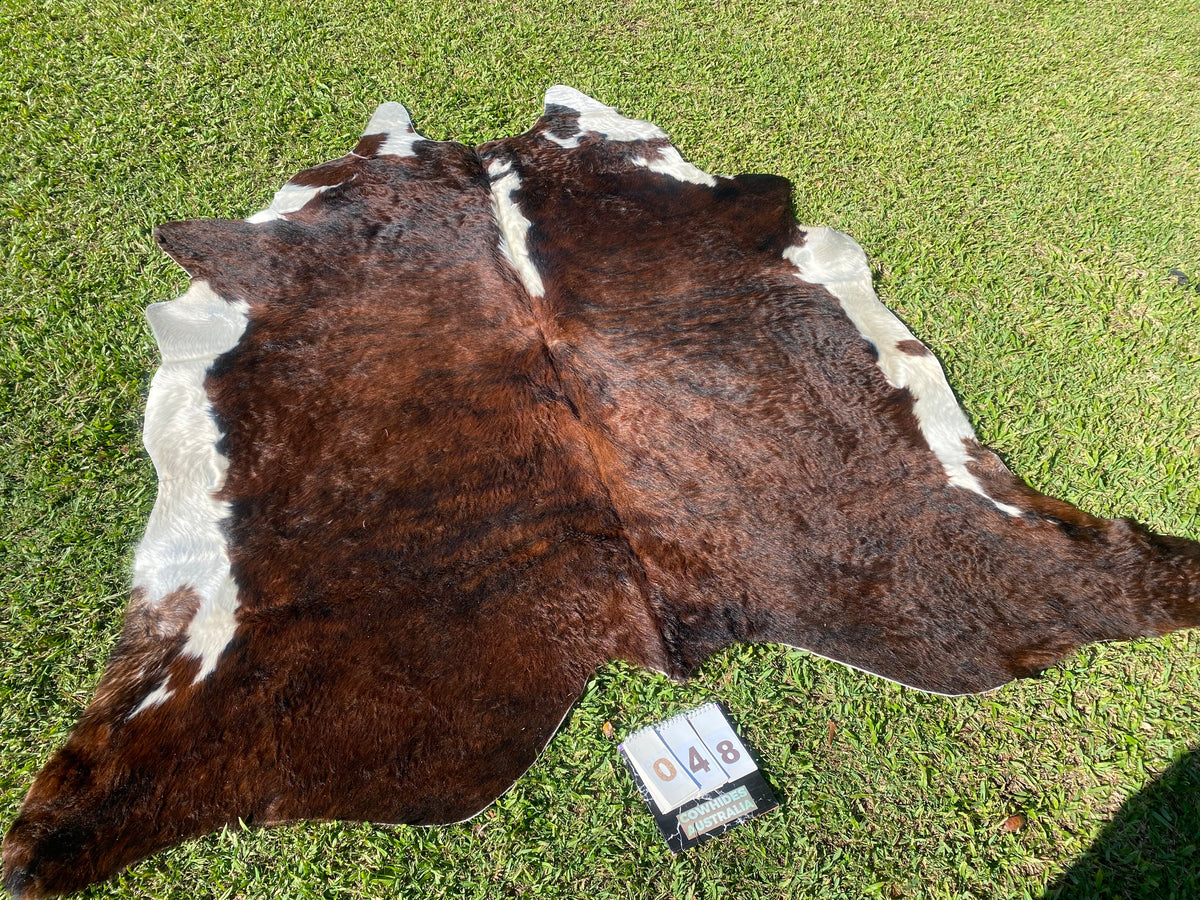 48. Brindle white belly Cowhide Cowhides Australia