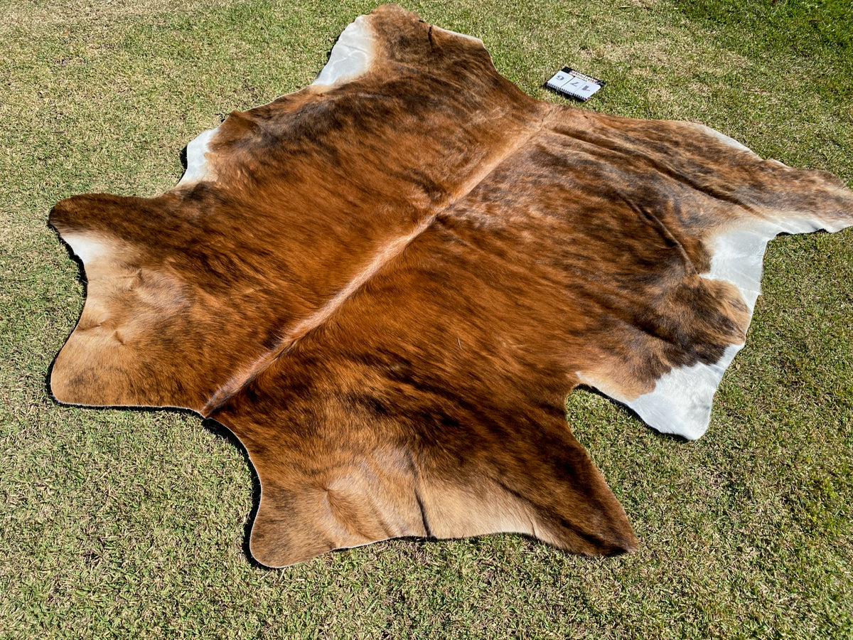 a176. Brindle Cowhide Cowhides Australia