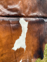 Load image into Gallery viewer, a165 Black white reddish Cowhide