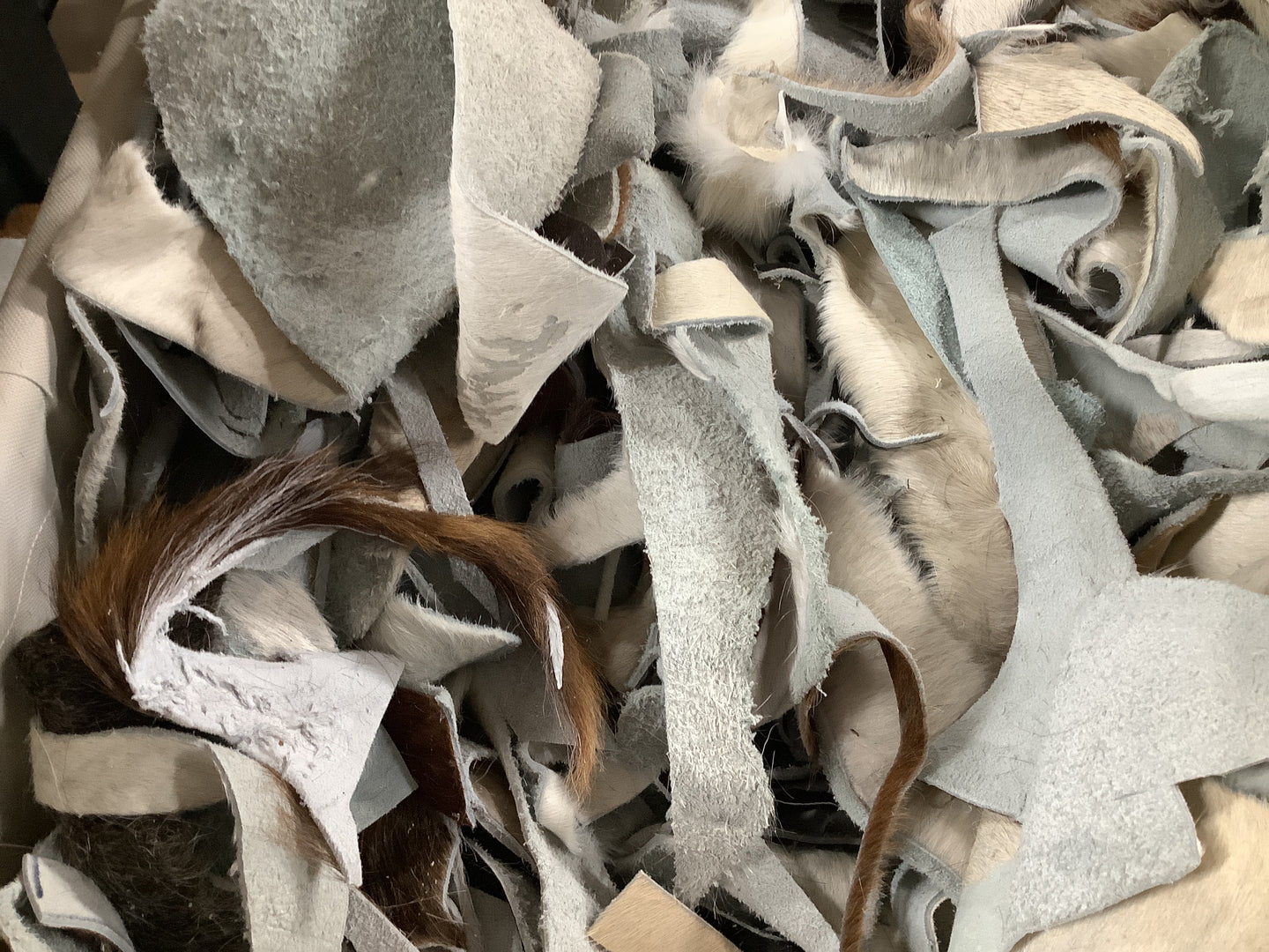 Cowhide Scrap