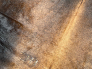 a110. Huge Black White Reddish Cowhide