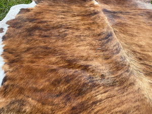 63. Brindle white belly Cowhide