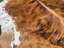 Load image into Gallery viewer, 51. Brindle Cowhide