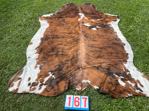 a167. Brindle Speckled Belly Cowhide