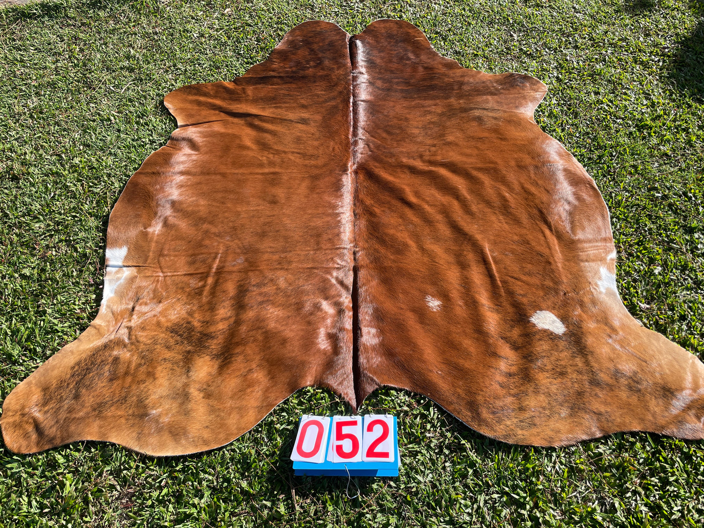 52. Brindle Cowhide