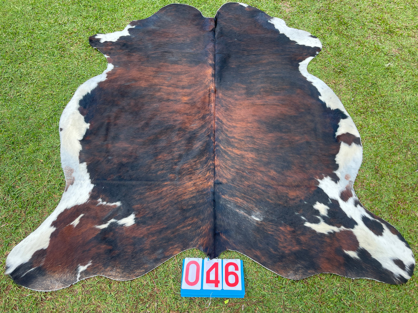 46. Dark Brindle Cowhide