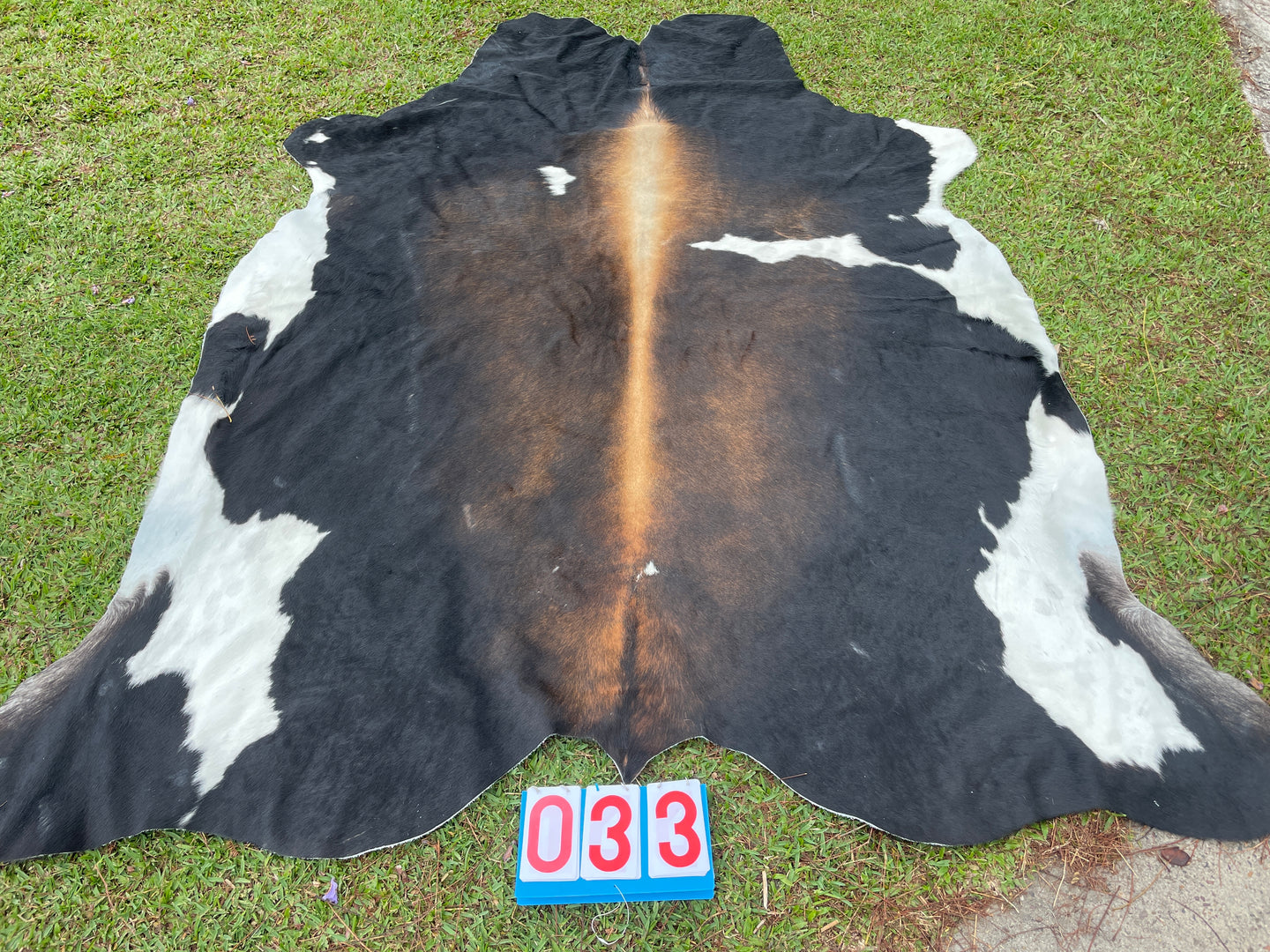 33. Black White Red Cowhide