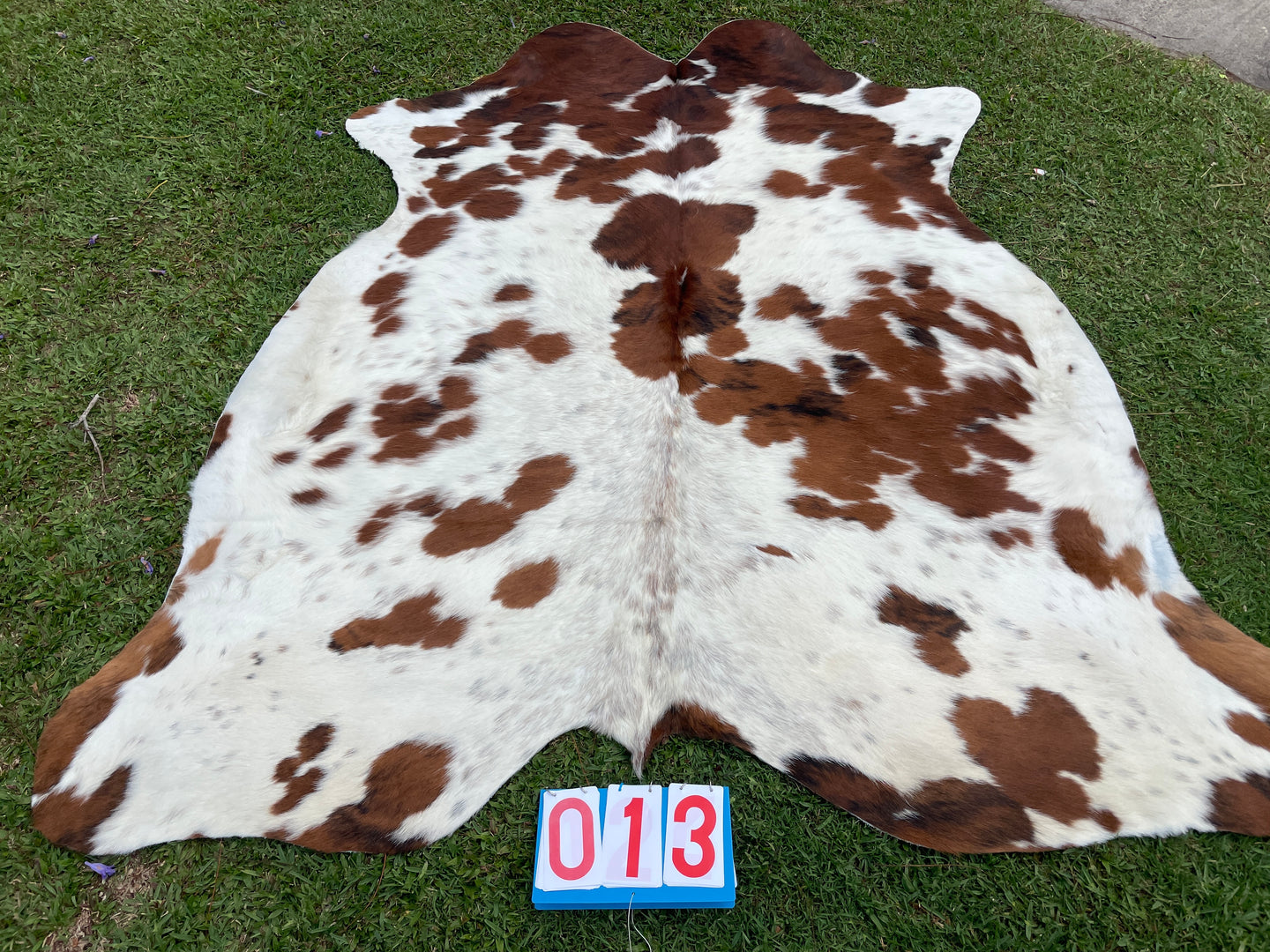 13. Brindle Tri Colour Cowhide