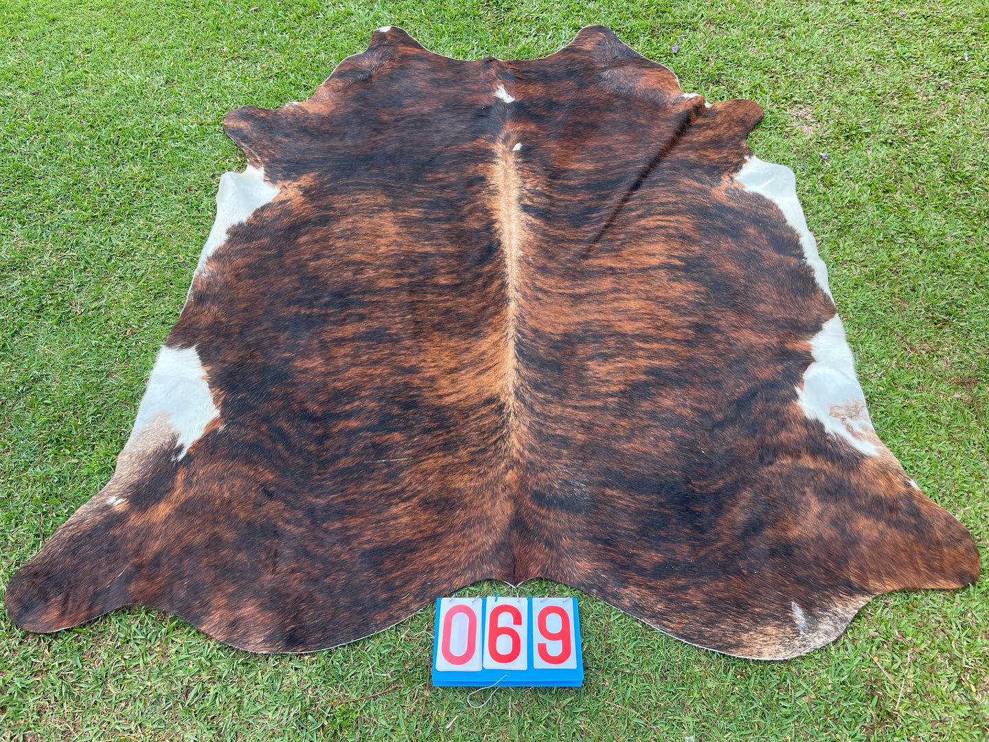 69. Brindle Cowhide