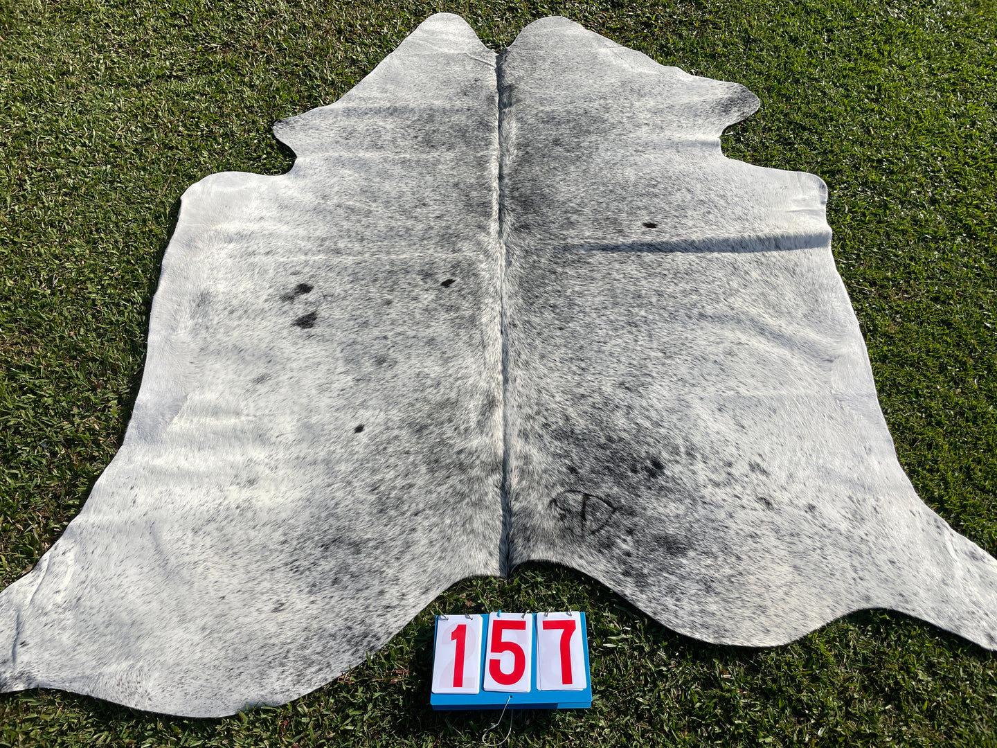 a157. Salt & Pepper Cowhide