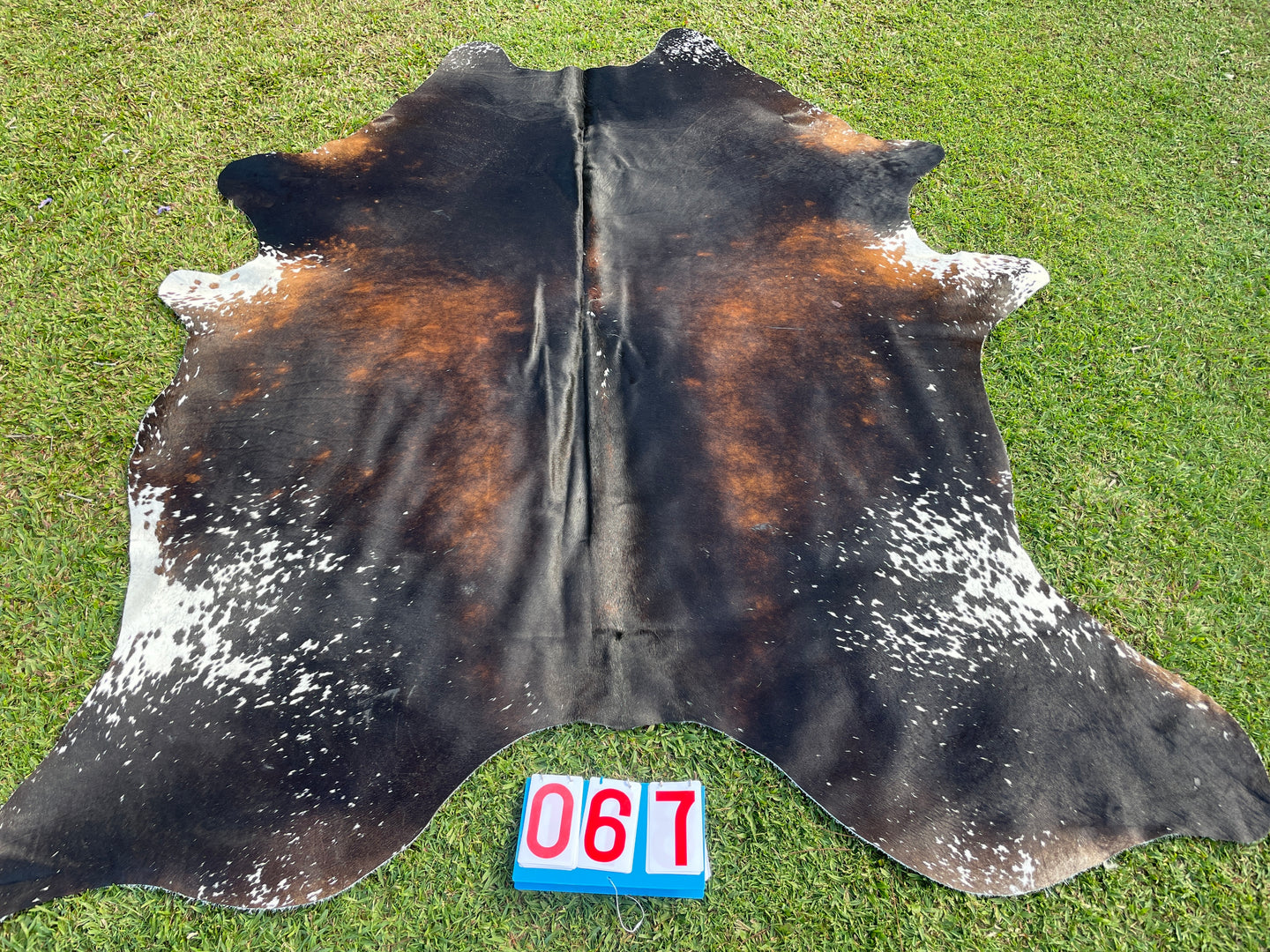 67. Black White Red Cowhide