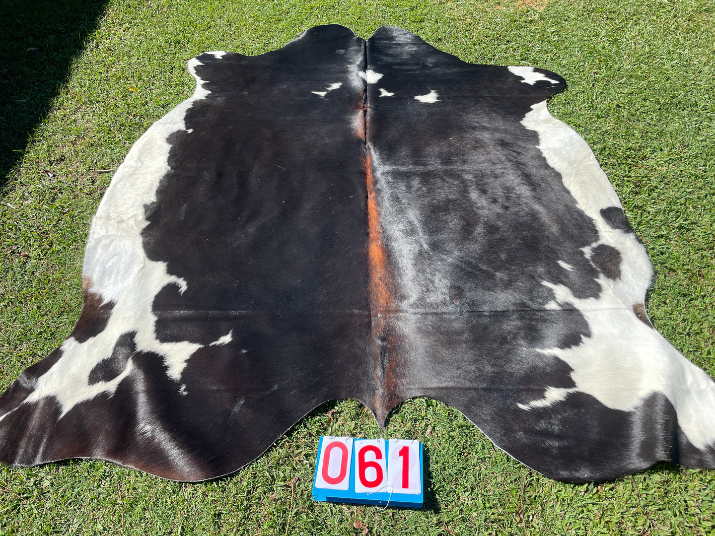 61. Black White Reddish Cowhide