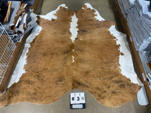 Load image into Gallery viewer, 36.  Brindle white belly Cowhides