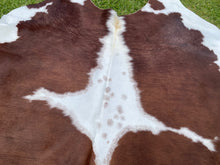 Load image into Gallery viewer, 20.  Hereford Cowhide