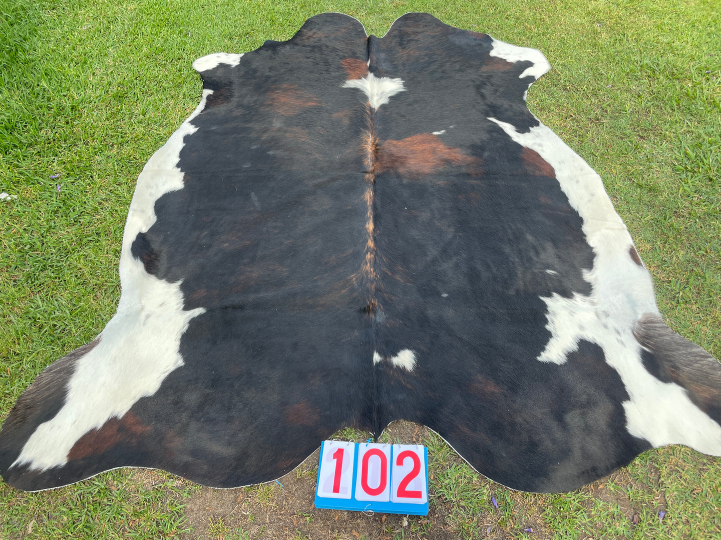 a102. Brindle Tri Colour Cowhide