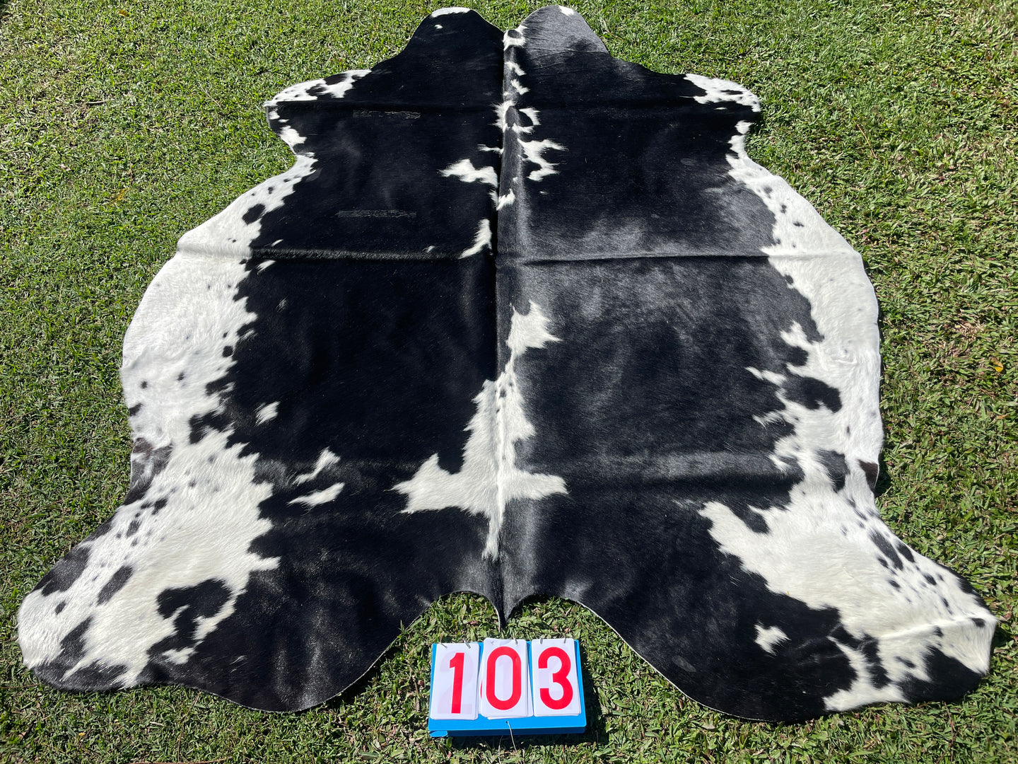 a103. Black White Cowhide