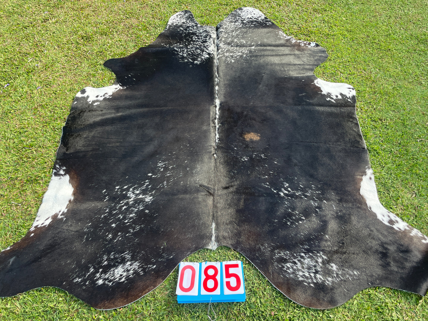 85. Black Speckled Cowhide