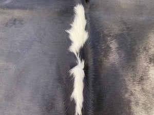a125. Huge Black and White Cowhide