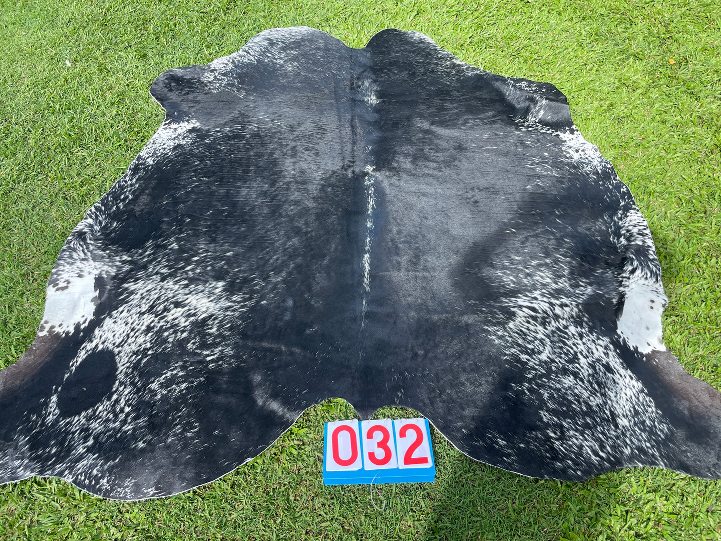 32. Black White with Speckles