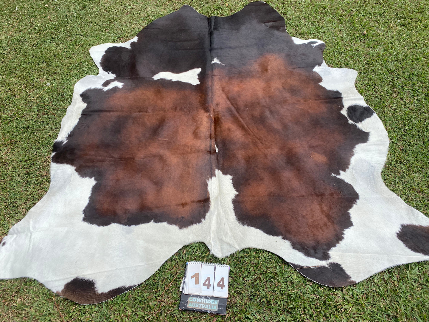 a144 Black White Reddish Cowhide