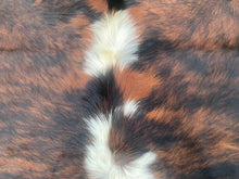 Load image into Gallery viewer, a116brindle and white Cowhide