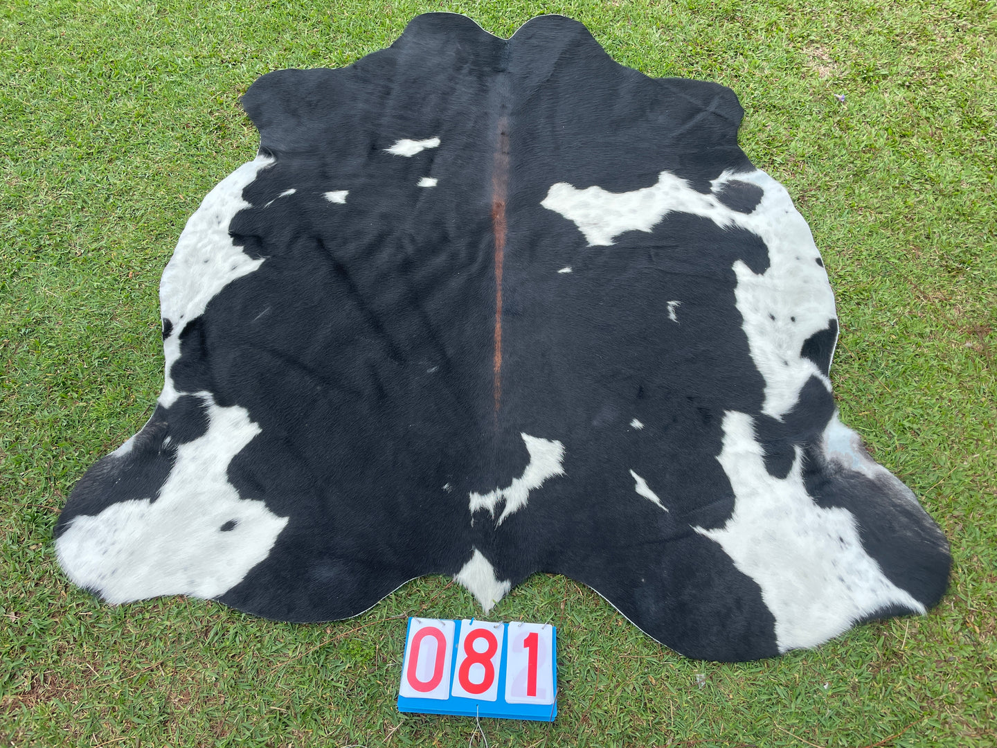 81. Black White Reddish Cowhide