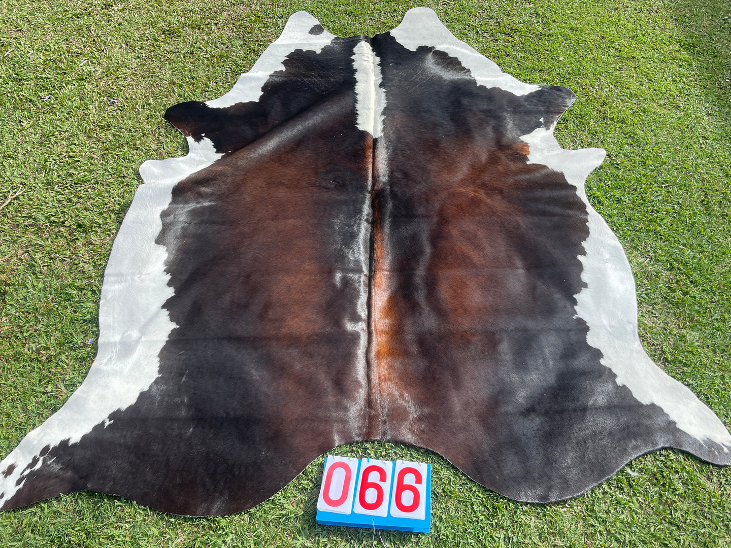 66. Brown White Reddish Cowhide