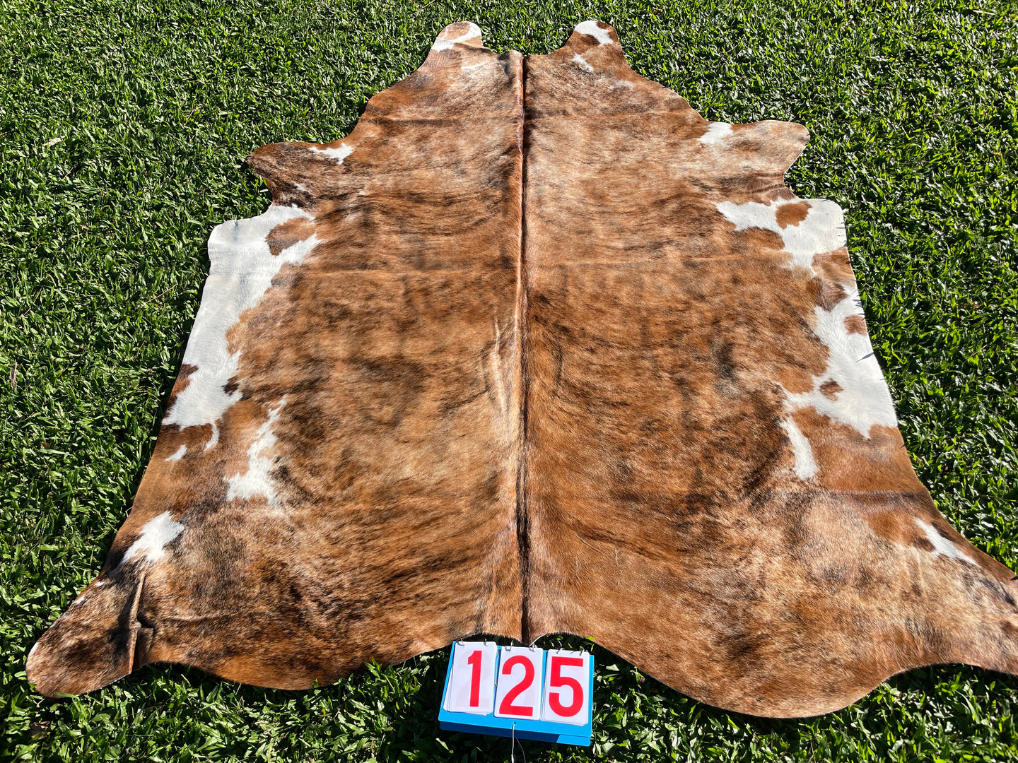 a125. Caramel Brindle Cowhide