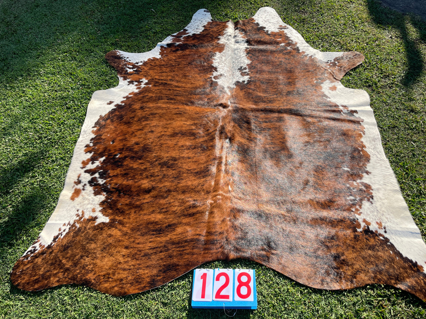 a128. Brindle White Belly Cowhide