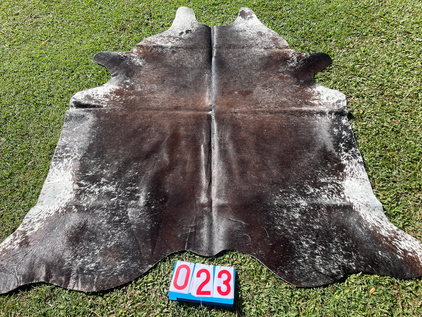 23. Chocolate Salt Pepper Cowhide