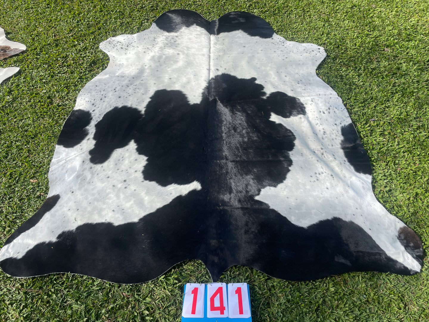 a141. Black and white Cowhide