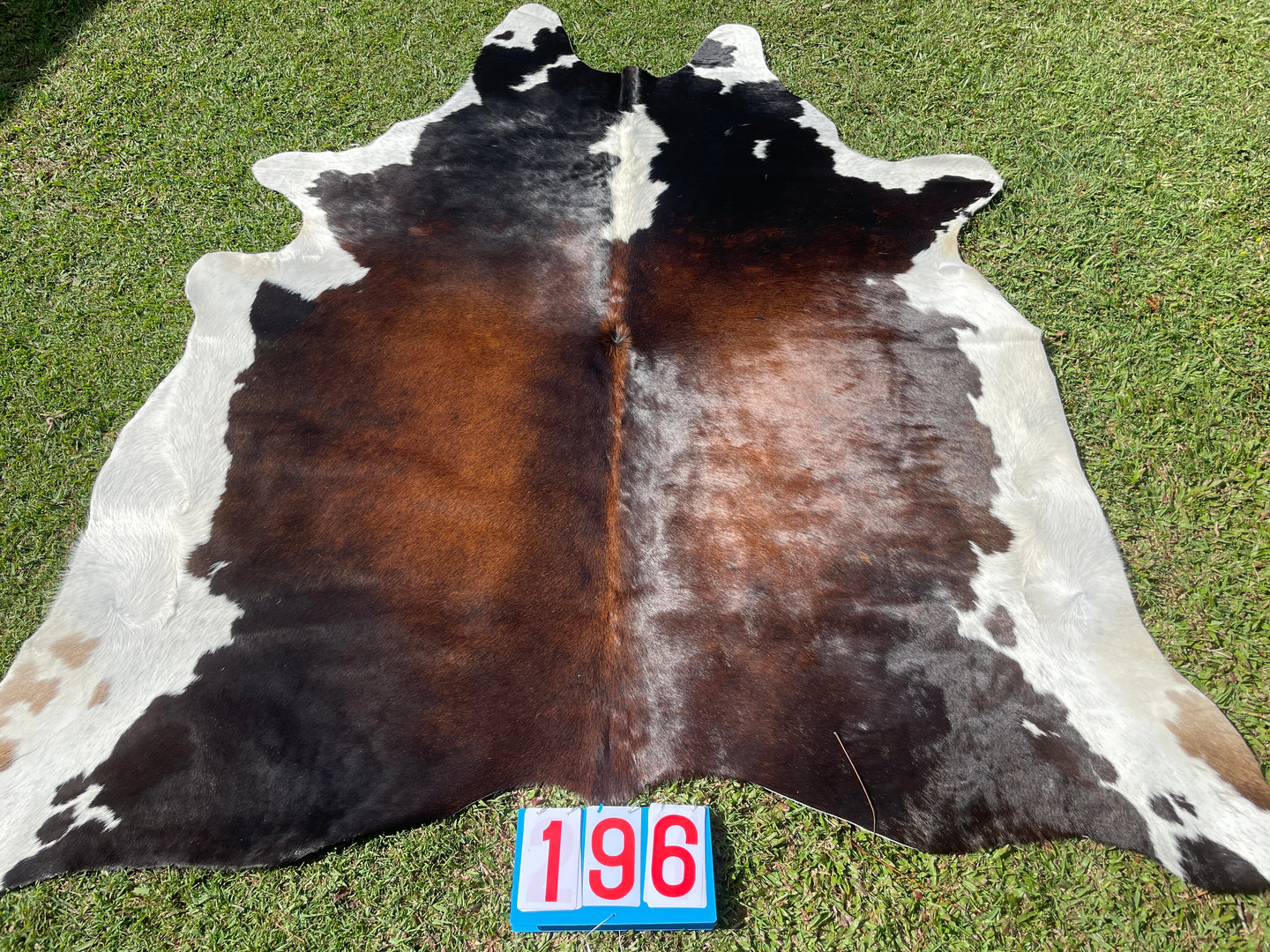 a196. Black White Red Cowhide