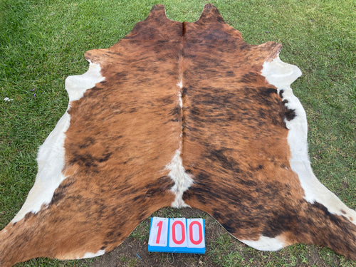a100. Stunning Brindle Cowhide