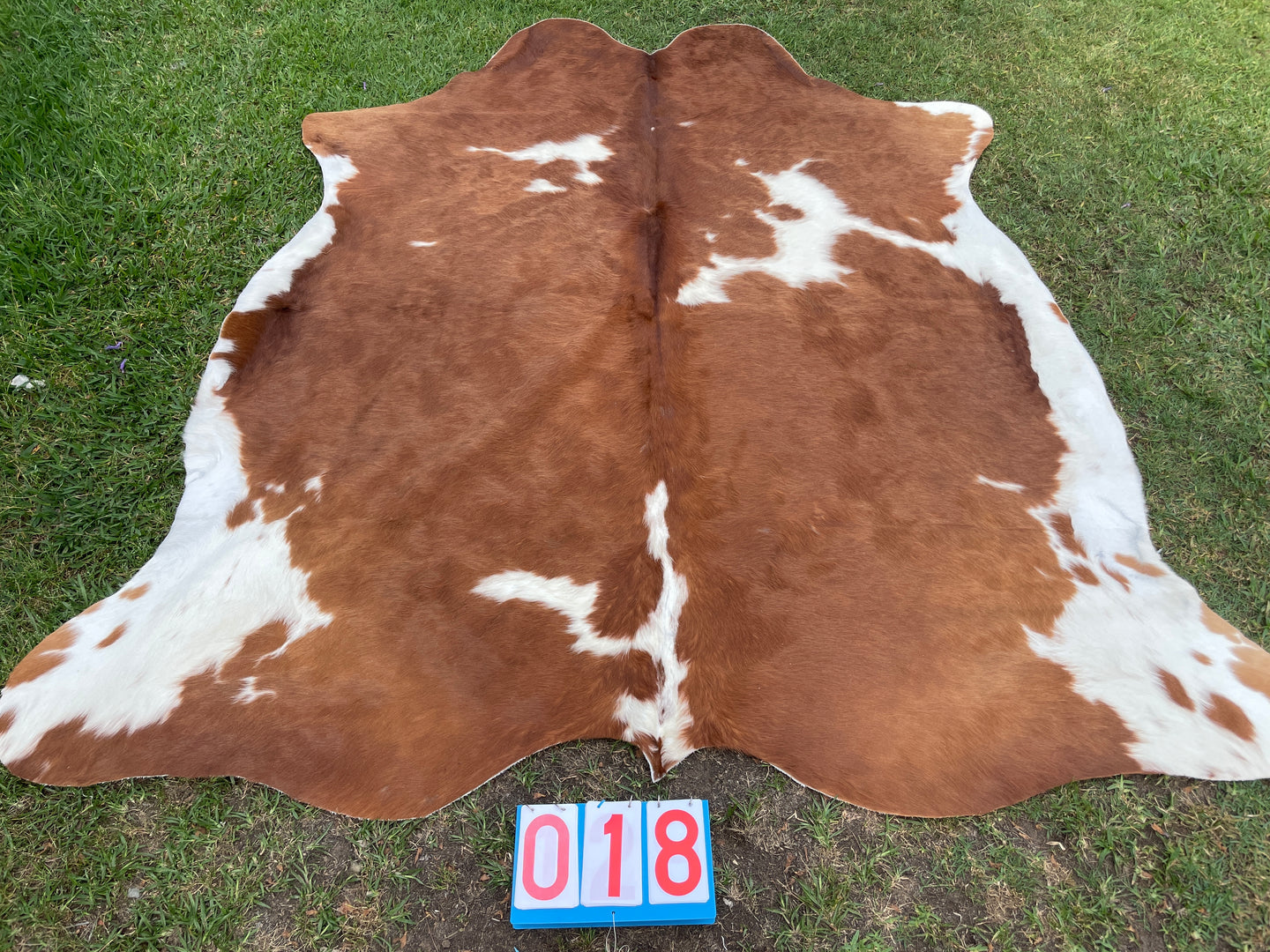18. Brown & White Cowhide