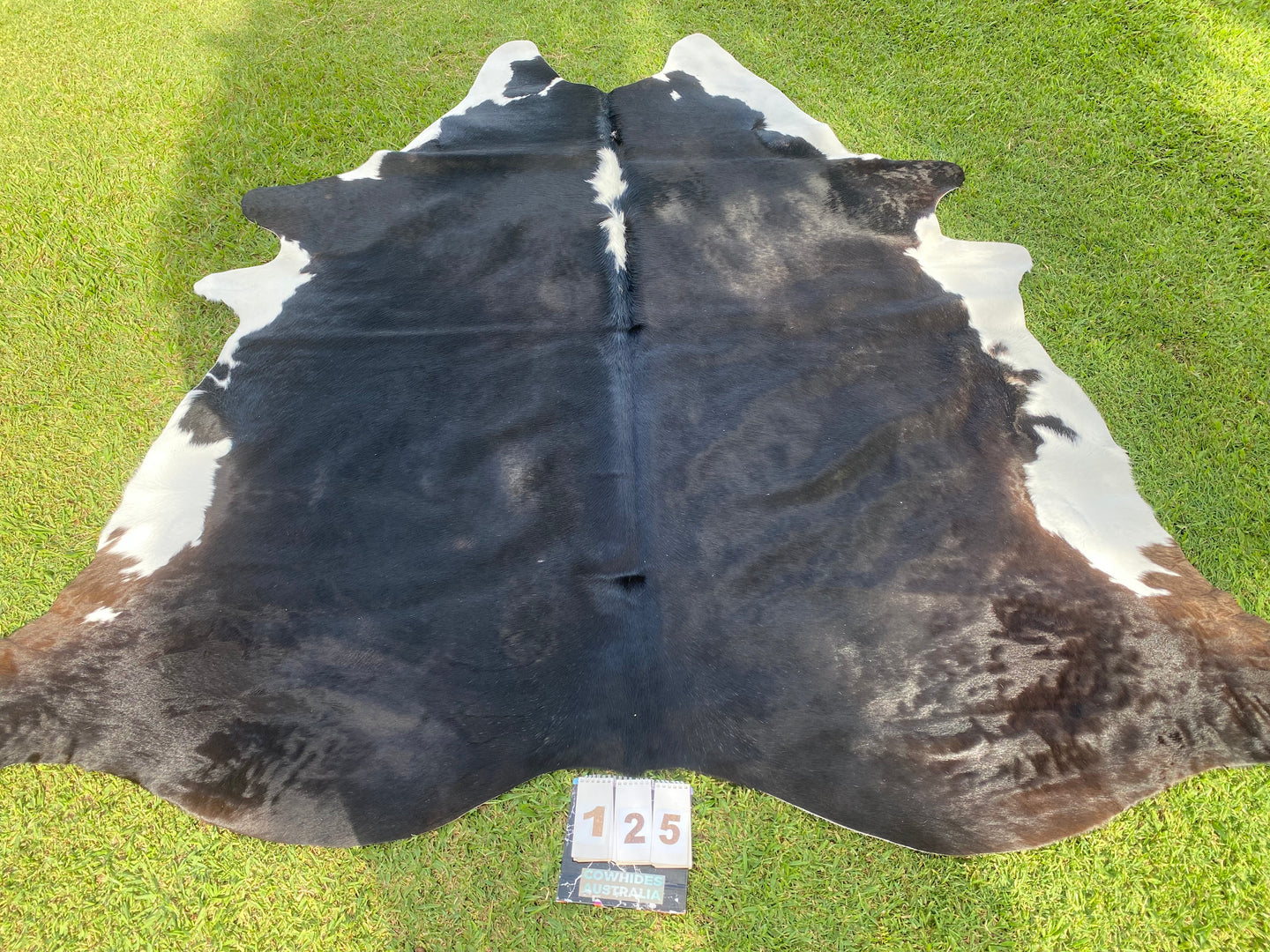 a125. Huge Black and White Cowhide