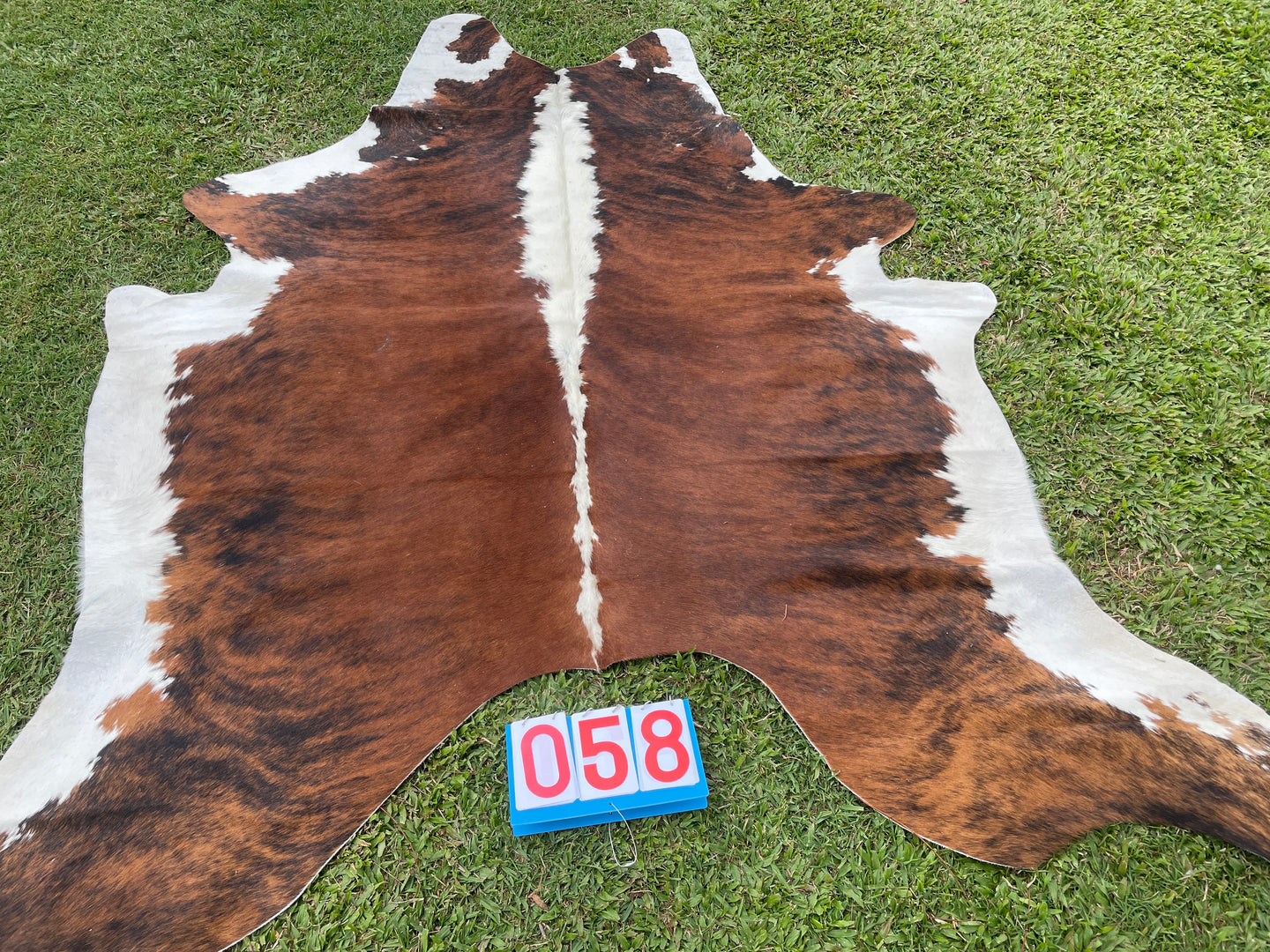 58. Brindle cowhide