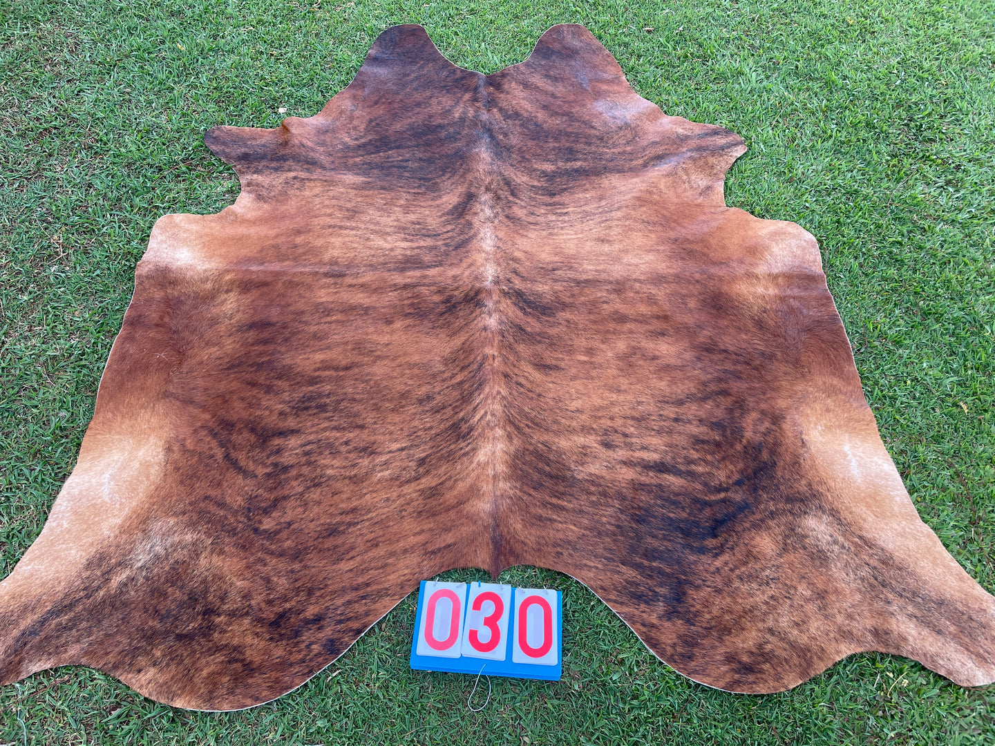 30. Brindle Cowhide