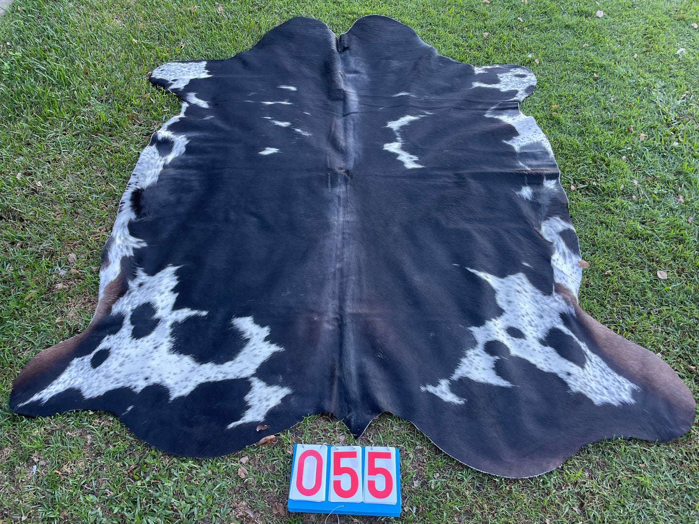 55. Black and White Cowhide