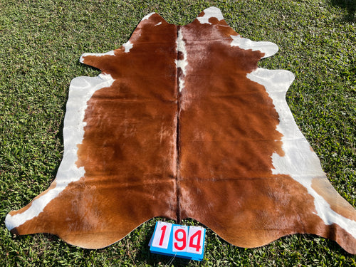a194. Hereford White Belly Cowhide