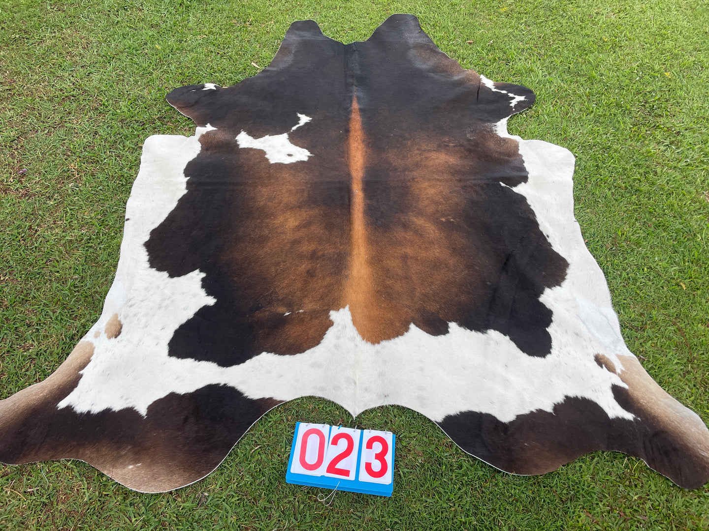 23. Black White Red Cowhide