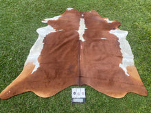 Load image into Gallery viewer, 66. Brown White Reddish