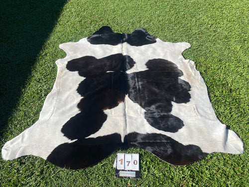 a170. Deep Choc and White Cowhide