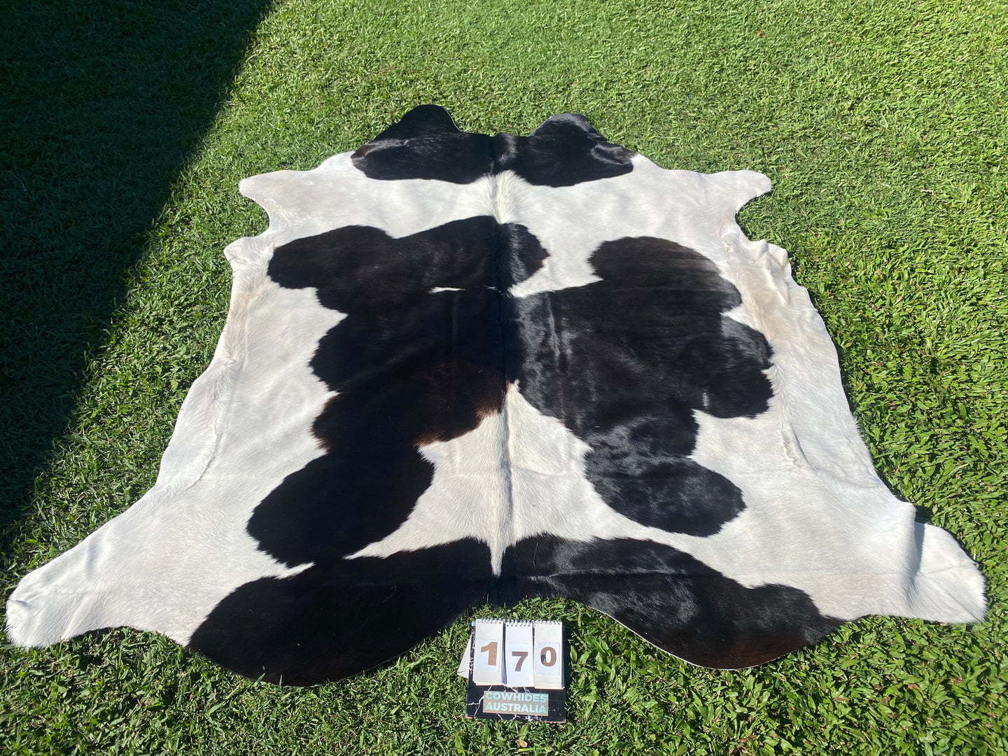 a170. Deep Choc and White Cowhide