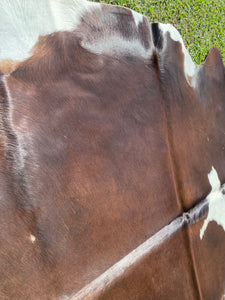 62. Chocolate brown and white Cowhide